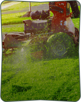 lawn care
