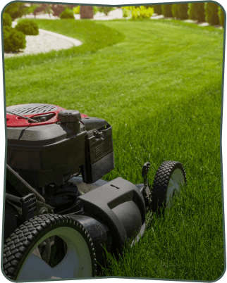 lawn care