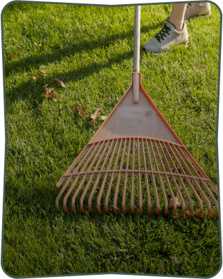 cleanup