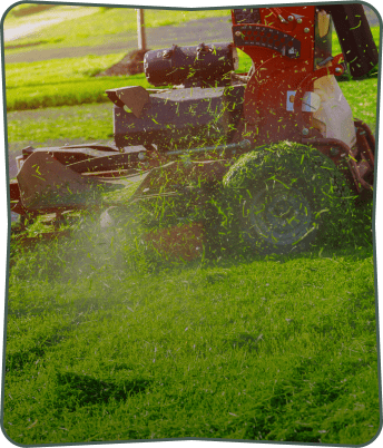 lawn care