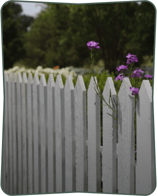 fencing