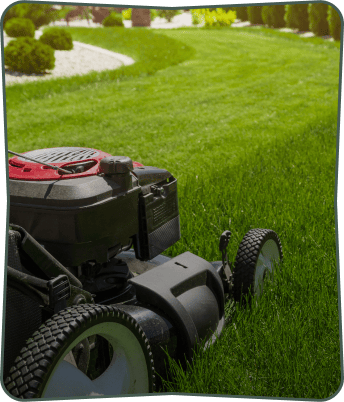 lawn care