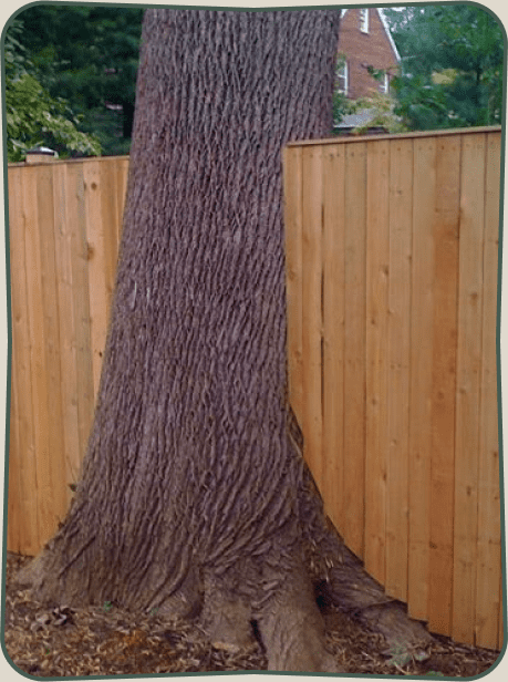 Lawn aeration